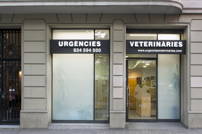 hospital d'urgencies veterinaries